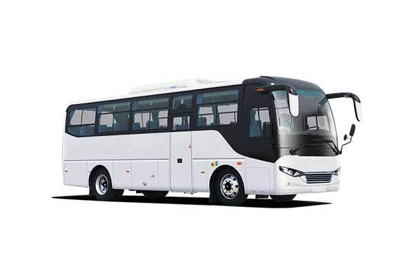 Tourist bus3
