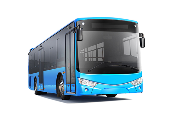 BUSES3